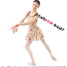 Printed Wrap Chiffon Dancewear Ballet Dress Ballet Skirt